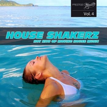 VA - House Shakerz Vol.4