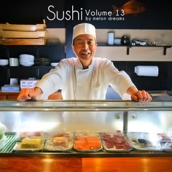 VA - Sushi Volume 13