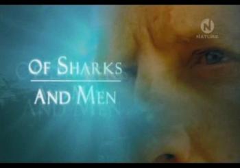 NATURE:    .   / NATURE: Of Sharks and Men VO