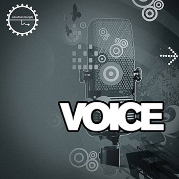 Industrial Strength Records - Voice