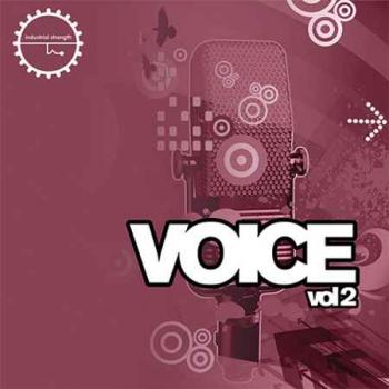 Industrial Strength Records - Voice 2