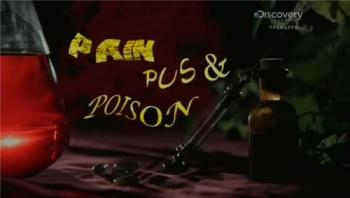 Discovery.  .  / Pain Pus & Poison VO
