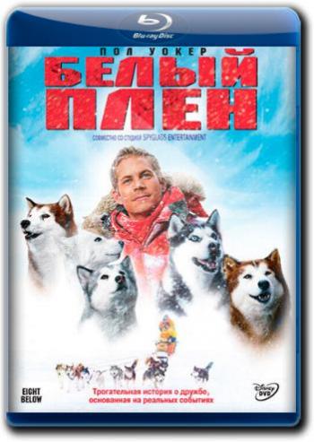   / Eight Below 2xDUB +AVO