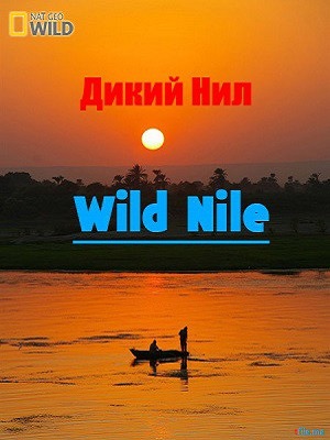   ( 1-3  3) / Wild Nile DUB