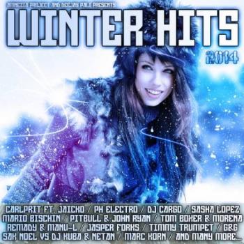 VA - Amnezia Winter Hits 2014