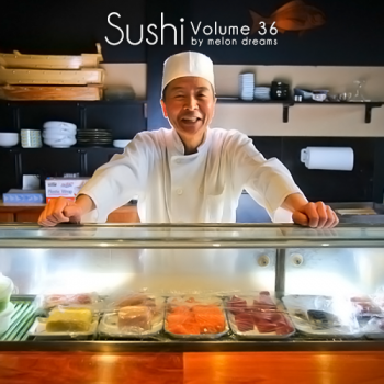 VA - Sushi Volume 36