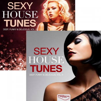 VA - Sexy House Tunes Deep Funky & Delicious Vol 2-3