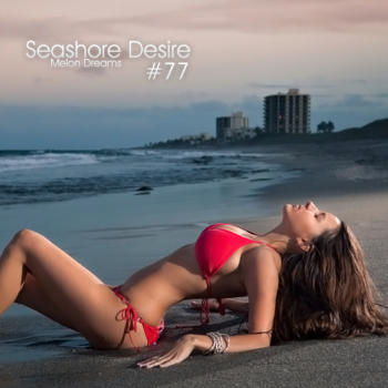 VA - Seashore Desire #77