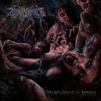 Infested Entrails - Defiling A Piece Of The Deceased