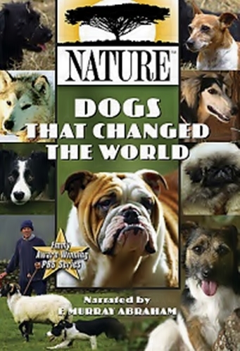 ,    (2   2) / Dogs That Changed The World DUB
