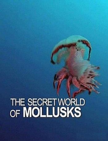    / The Secret World Of Mollusks DUB