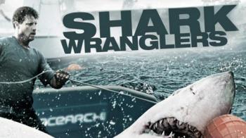   (1 : 1-10   10) / Shark Wranglers MVO