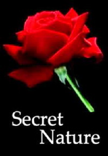  .   / Secret Nature. Flower Power VO