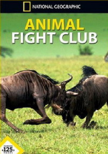     (3 : 1-5   5) / Animal Fight Club DUB