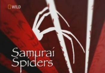  -  / National Geographic: Samurai Spiders VO