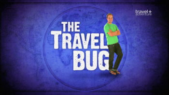   (17 ) / The Travel Bug DVO