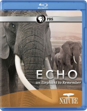  :    / PBS. Nature - Echo: An Elephant to Remember DVO