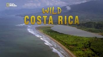   - / National Geographic. Wild Costa Rica DUB
