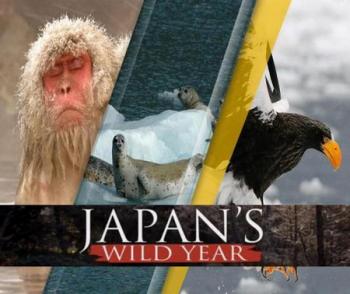    / NAT GEO WILD. Japan's Wild Year DUB