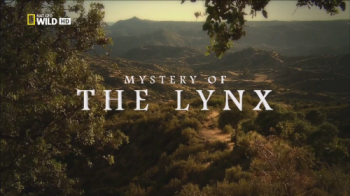    / NAT GEO WILD. Mystery of the Lynx DUB
