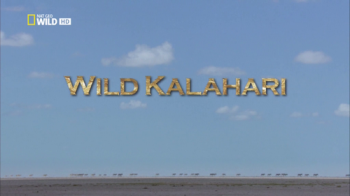   / NAT GEO WILD. Wild Kalahari DUB