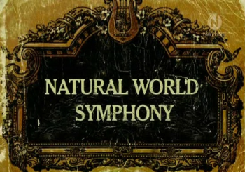    / Natural World Symphony