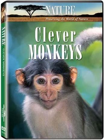   / BBC. Clever Monkeys VO
