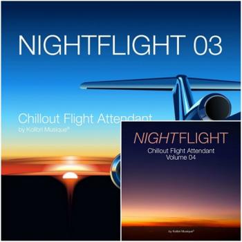 VA - Nightflight 03-04