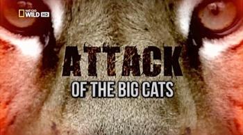    / NAT GEO WILD. Attack of the Big Cats DUB