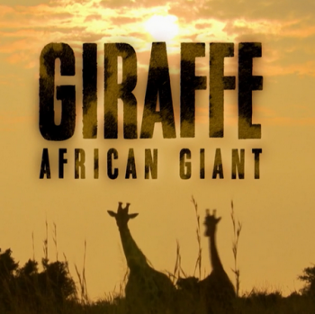 .   / NAT GEO WILD. Giraffe. African Giant DUB