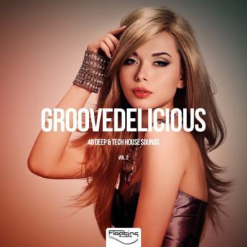 VA - Groovedelicious, Vol. 2 (40 Deep Tech House Sounds)