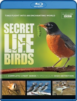    (1-5   5) / Secret Life of Birds VO