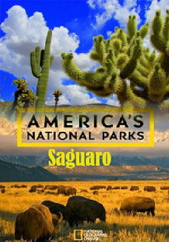   .  / America's National Parks. Saguaro DUB