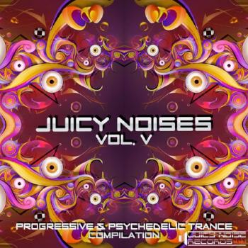 VA - Juicy Noises Vol 5