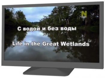      ( 1-5  5) / Life in the Great Wetlands VO