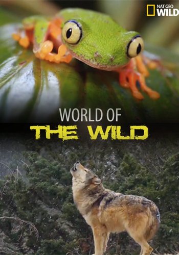    (1-13   13) / World of the Wild VO