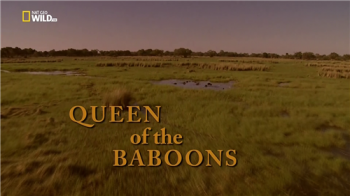  / Nat Geo Wild. Queen of the Baboons VO