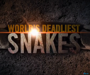      / NAT GEO WILD. World's deadliest snakes DUB