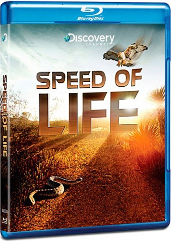  (1-3   3) / Discovery. Speed of Life VO