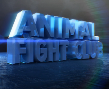     (1 : 1-3   3) / NAT GEO WILD. Animal Fight Club VO