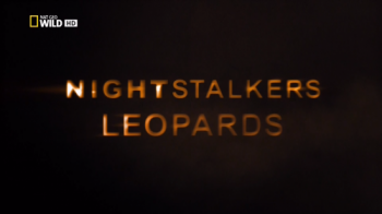  .  / NAT GEO WILD. Night Stalkers.Leopards VO