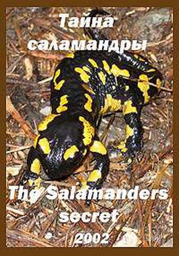   / The Salamander's secret VO