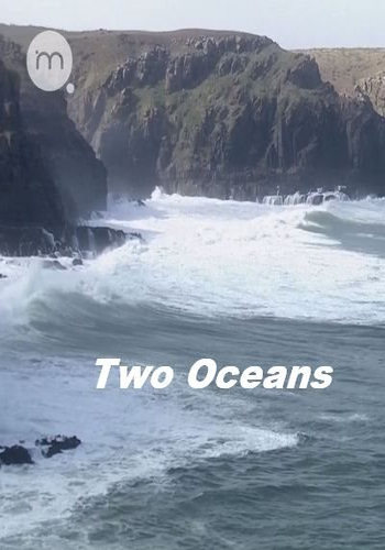   (1-3   3) / Two Oceans VO
