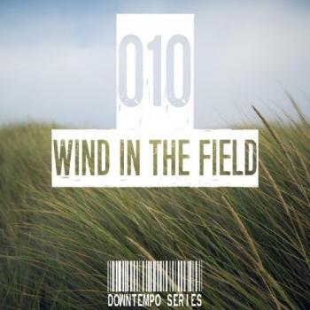 VA - Wind In The Field Vol.010