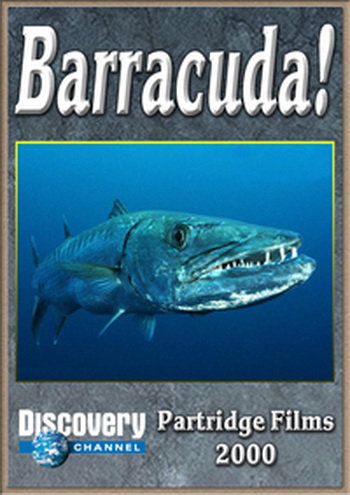  / Discovery. Barracuda VO