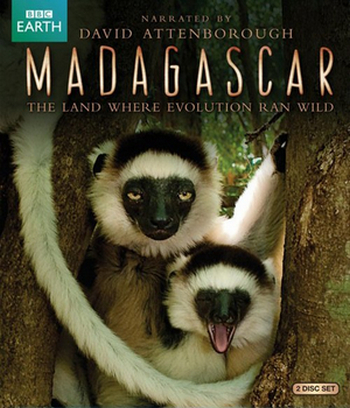 . ,      ( 1-4 + ) / BBC. Madagascar. The land where evolution ran wild VO