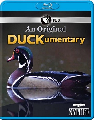  -      / PBS. Nature - An Original DUCKumentary VO