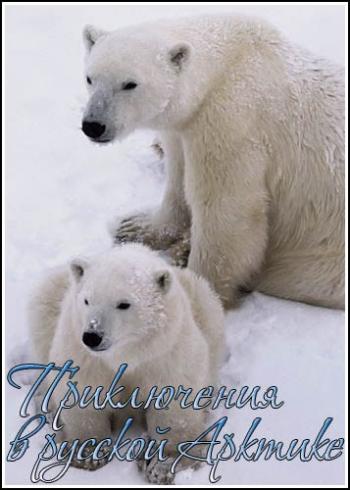         / Nature. Among the Polar Bears - Adventure in Russia's Arctic VO