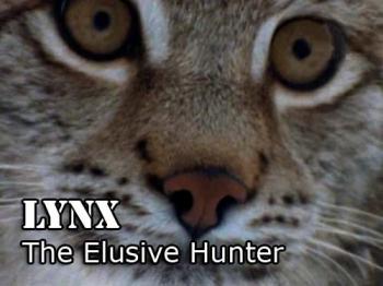 :   / Nature. Lynx: The Elusive Hunter VO