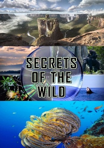    (1-3   3) / NAT GEO WILD. Secrets Of The Wild DUB